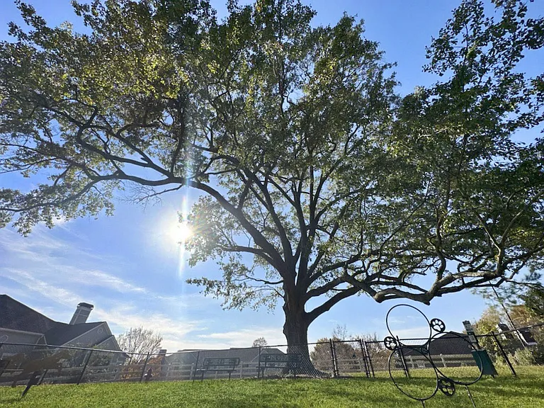 We are a pet-friendly community with a designated fenced in dog area