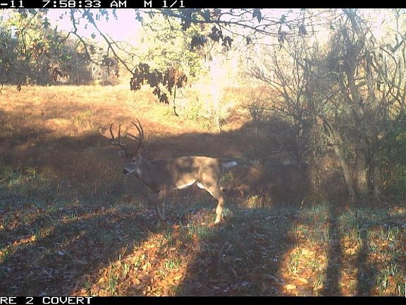 3rd image of 0 Goodman Pond Rd