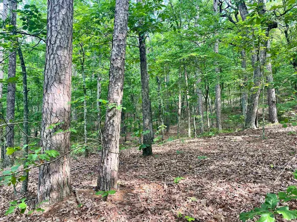 (undisclosed Address), Greenbrier, AR 72058