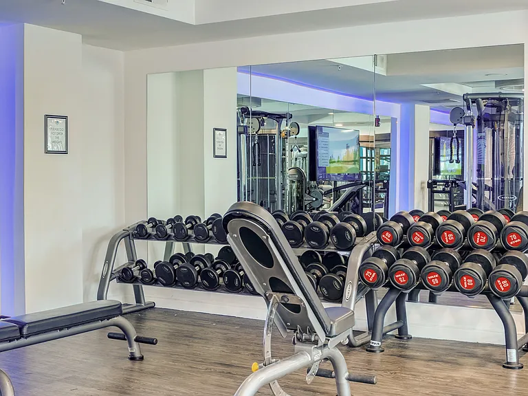 Floor to ceiling mirrors with free weights in this brightly lit, newly redesigned fitness center