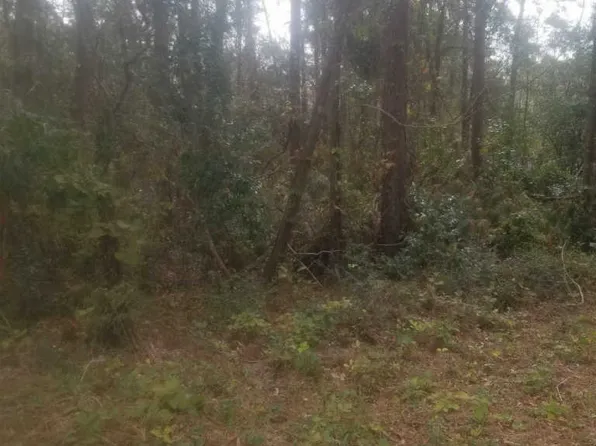 Lake View Dr, Fairhope, AL 36532