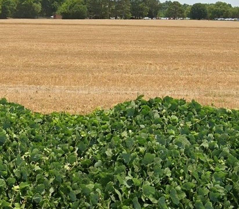 LOT 4A Porter Dr, Erwin, NC 28339 MLS 2515967 Zillow