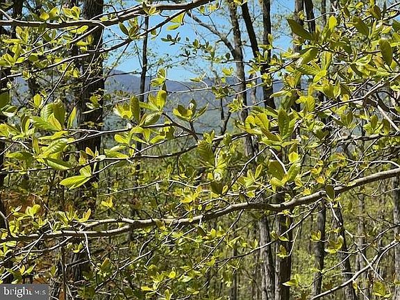 4th image of LOT 24 Wildwood Ln