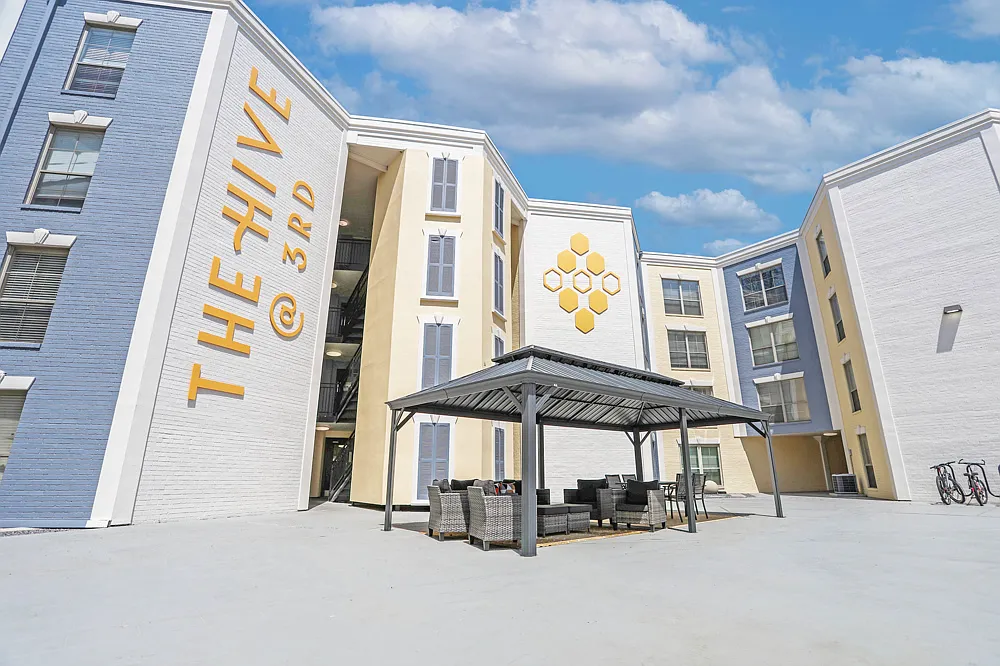 The Hive @ 3rd — Photo 3