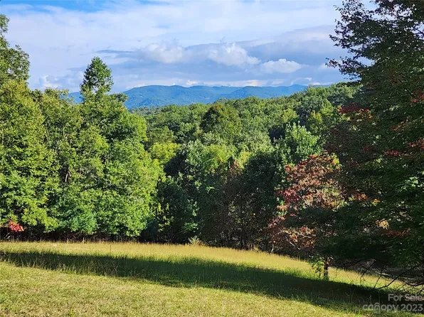 369 Bush Gardens Rd, Green Mountain, NC 28740