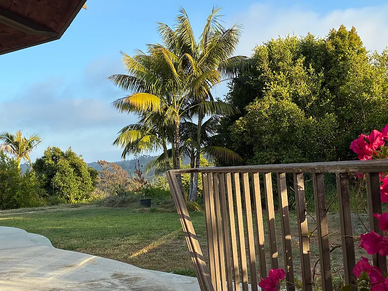 Outdoor Landscape