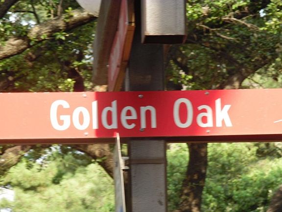 5th image of 3131 Golden Oak