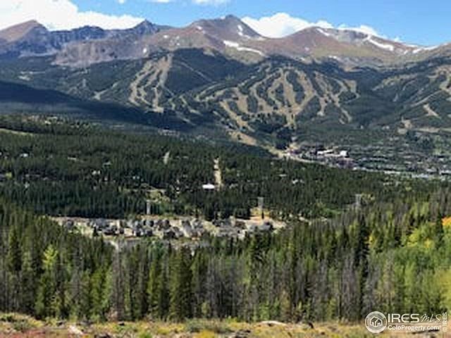 'Breck' in all it's Glory