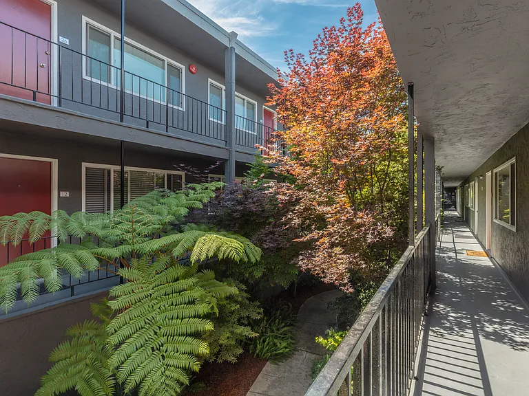 Villa Alameda — Photo 4
