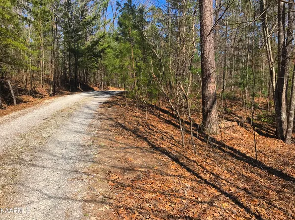 Barney Creek Rd, Tellico Plains, TN 37385