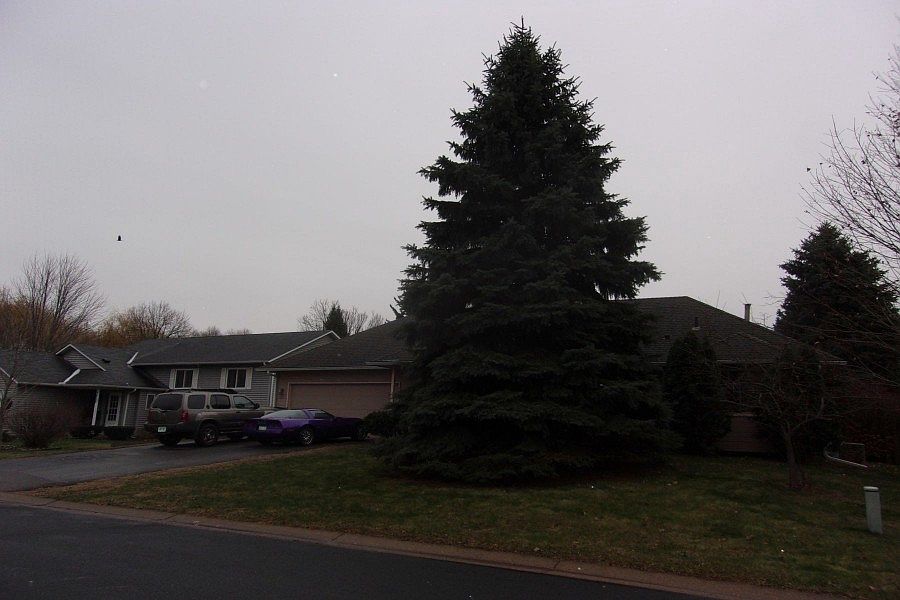 2nd image of 3912 Danbury Trl