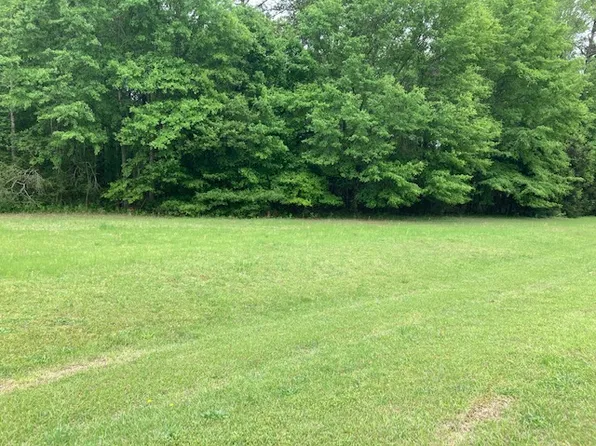 0 Plantation Way, Auburn, AL 36832