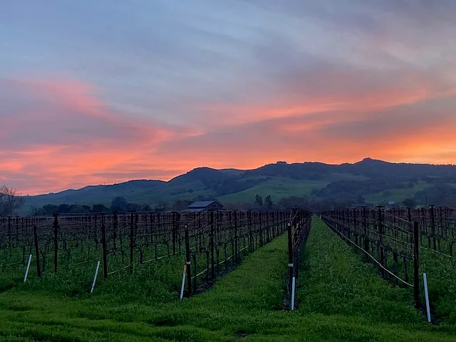Green Valley Sunset. On the other side of the hills is Napa.