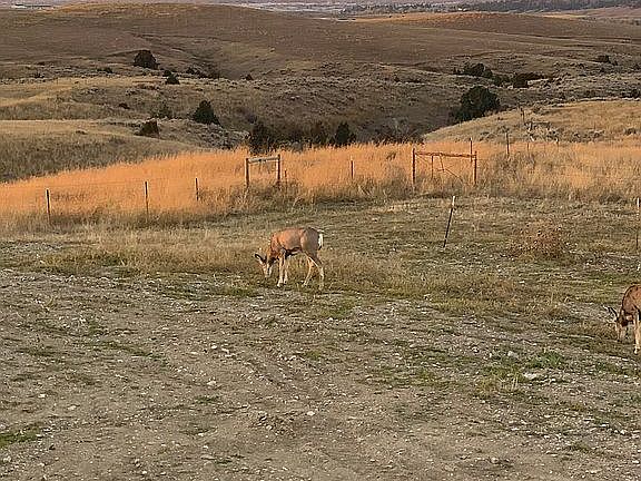 View from living room