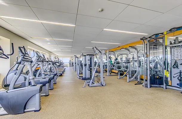 Rented by Lin Pan Realty Group LLC | media 28