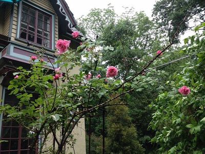35 Church Ln, Scarsdale, NY, 10583