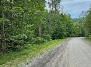 0 Cooper Hill Rd, Van Etten, NY 14889