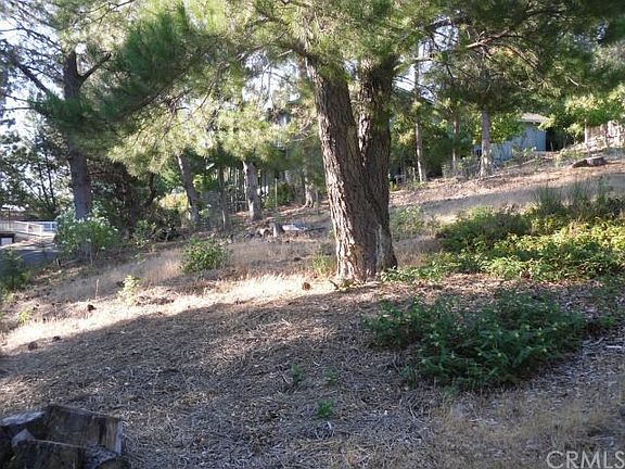 5th image of 3565 Meadow Wood Dr