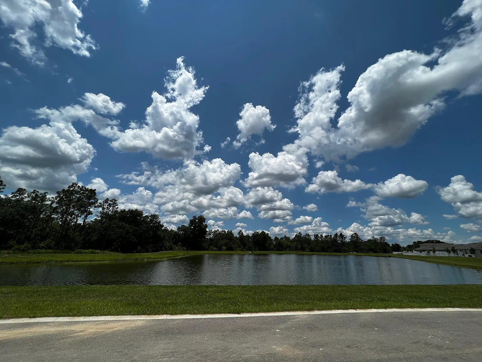 Avalon Park Blvd, Wesley Chapel — Photo 4