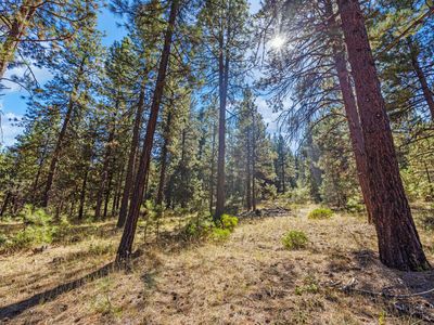 Simpson Canyon Rd Lot 24, Klamath Falls, OR, 97601