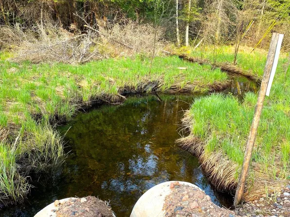 County Road 426, Arnold, MI 49819