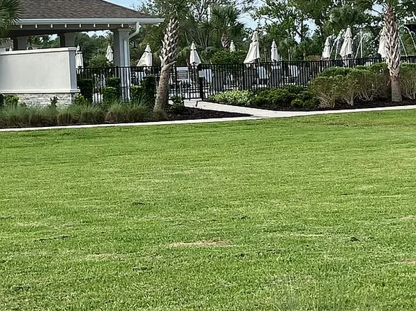 4317 Cloud Hopper Way, Lutz, FL 33559