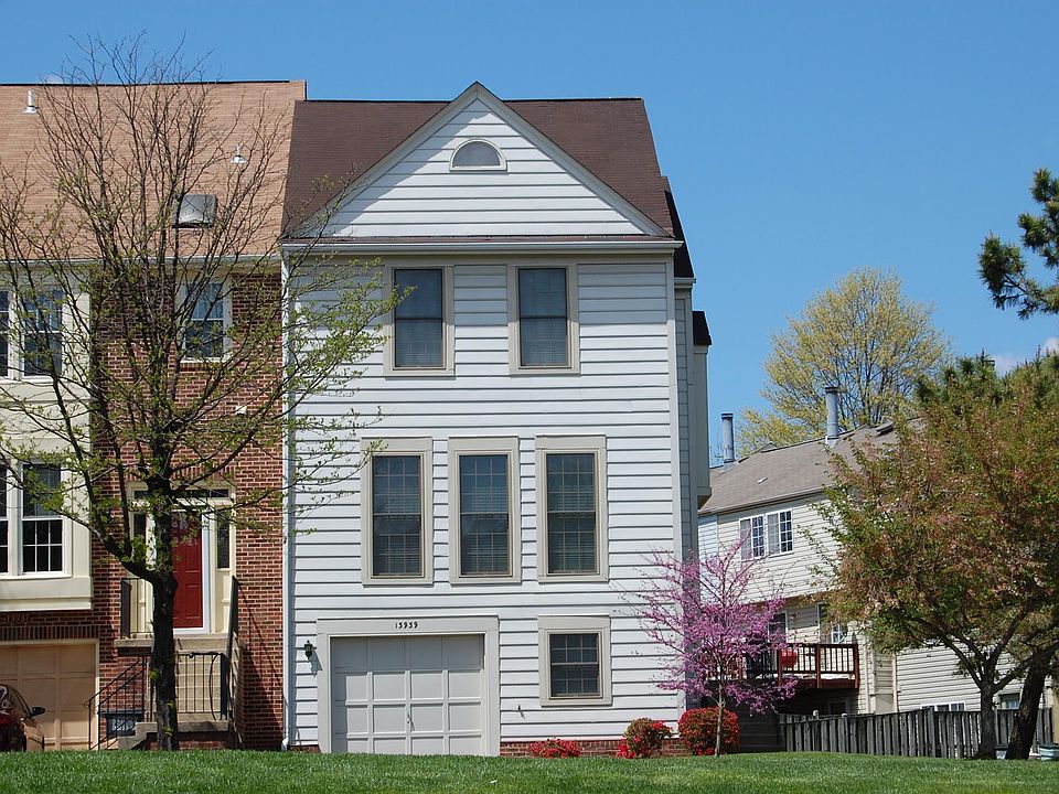 Front view - beautiful flowering trees in spring