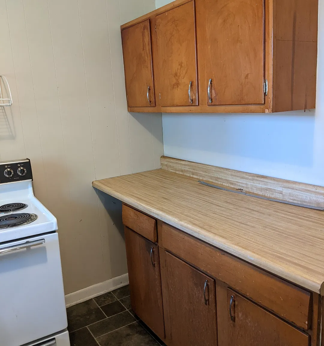 125 Whiteside St — Photo 3