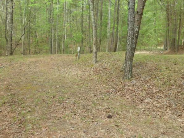 68 32nd St, Ellijay, GA 30540