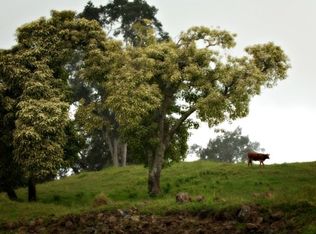 LOT 13 B, Kealakekua, HI 96750