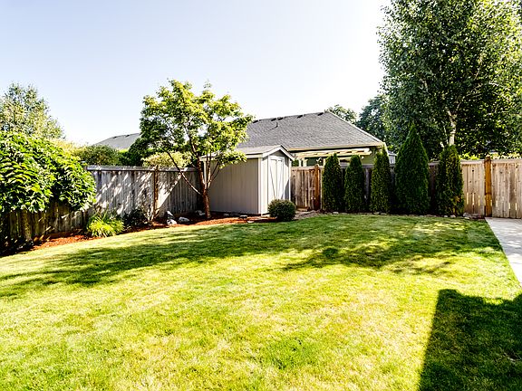 Back Yard view from House