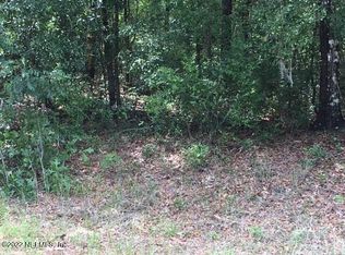 4166 Chokeberry Rd, Middleburg, FL 32068