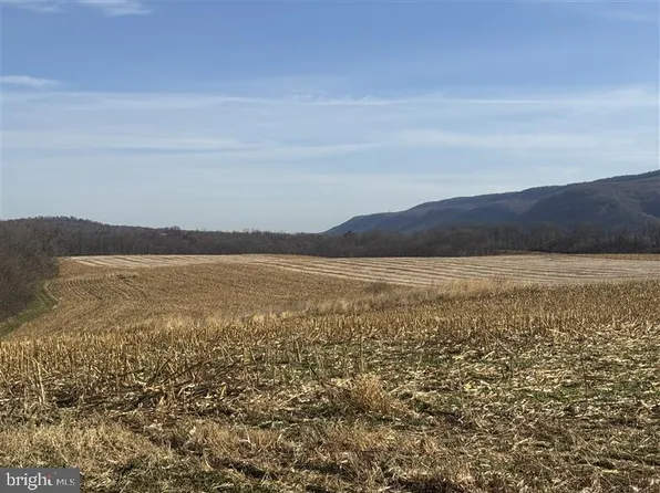 3581 Union Furnace Rd, Tyrone, PA 16686