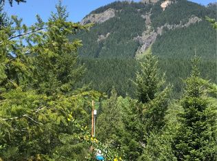 0 Jack Fir Ct E, Packwood, WA 98361