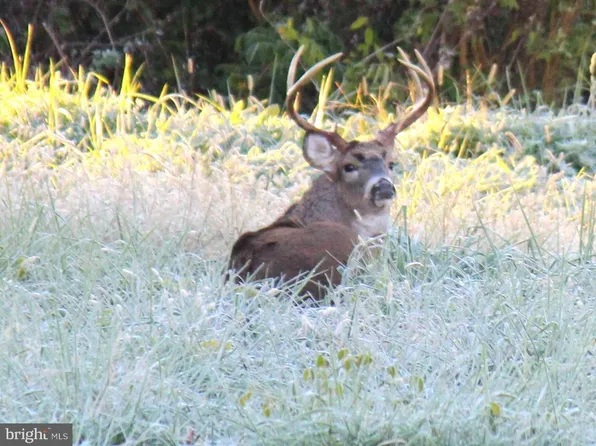 Sparks Corner Sparks Mill At Route Rd #213, Centreville, MD 21617