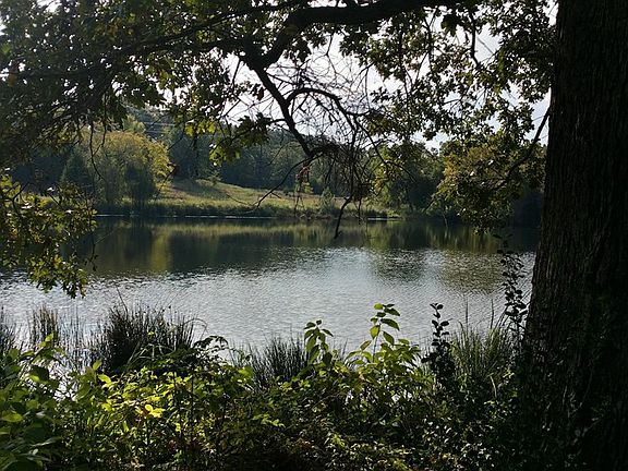3rd image of 170 Lago Vista Dr
