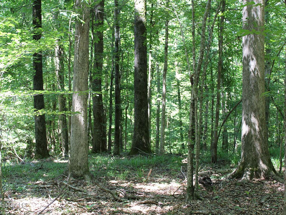 Henderson Rd, Bentonia, MS 39040 MLS 4052524 Zillow