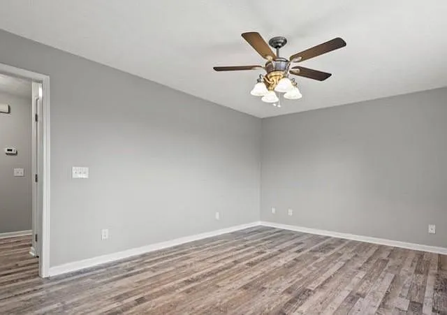 2 bed, 900 sqft, $1,000 — Photo 3