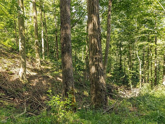 4th image of 2145 Deans Fork Rd #2