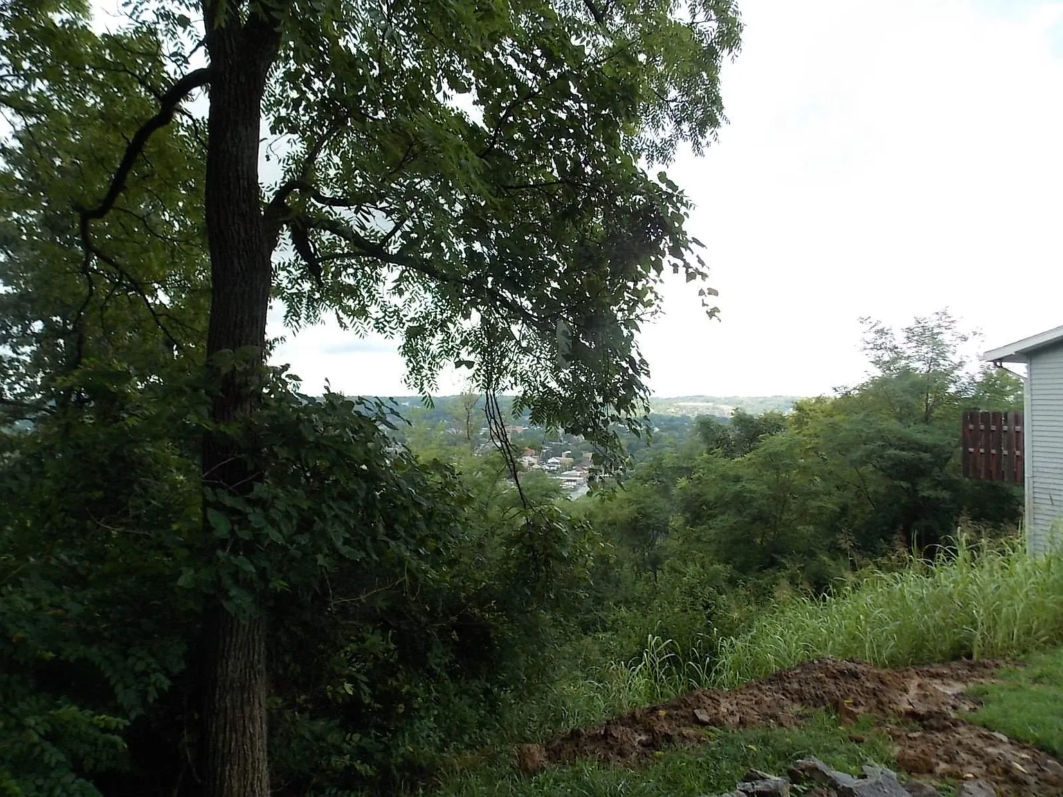Clifton Ave photo 1
