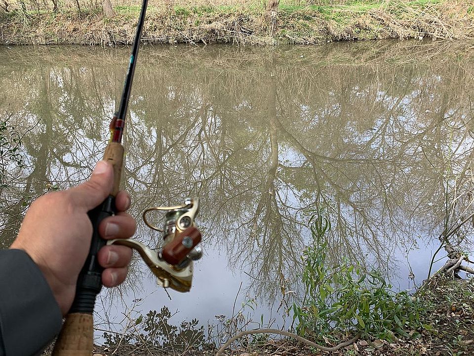 Fish from your own backyard!