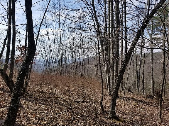 2nd image of 93 Falling Cliff Dr #93