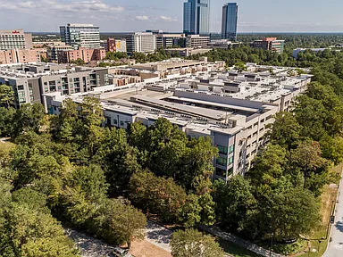 Millennium Six Pines
