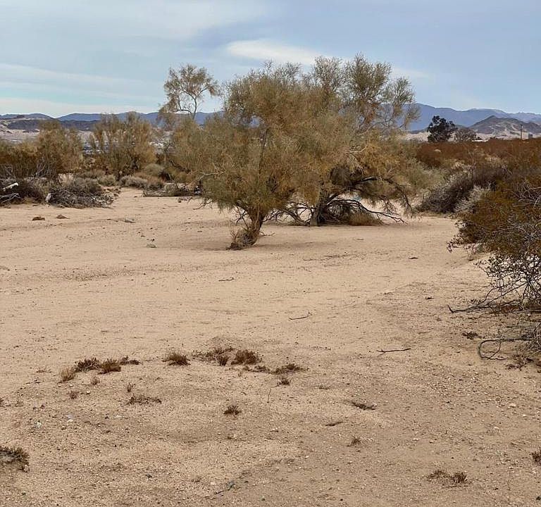 2nd image of 29 Canyon
