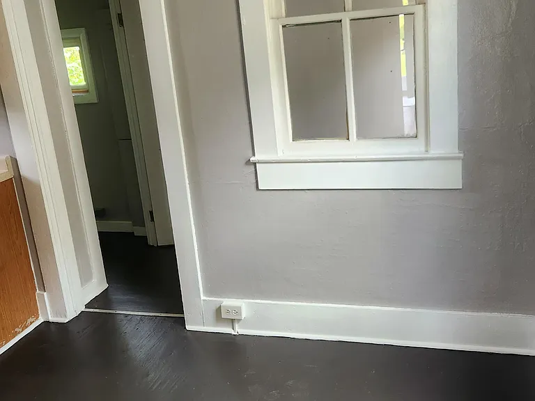 515 S Palmetto Ave — Photo 6