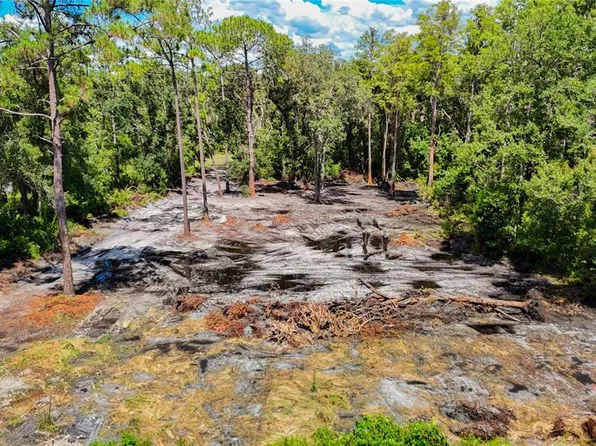 Anno St Lot 5, Tampa, FL 33625