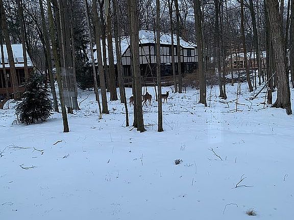 3rd image of 3911 Hemmingway Dr