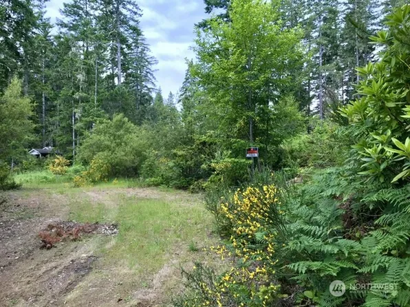 161 E Coon Drive N, Belfair, WA 98528