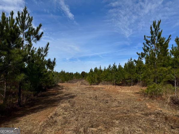 16 Dozier Rd, Ellaville, GA 31806