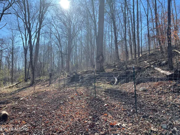 Longfield Rd, Rocky Top, TN 37769